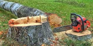  Fayette, OH Tree Care Pros