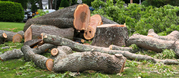 Best Lot and Land Clearing  in Fayette, OH