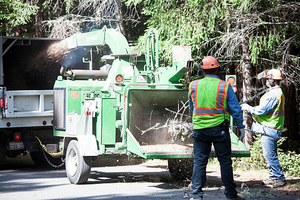 Best Aeration Services  in Fayette, OH
